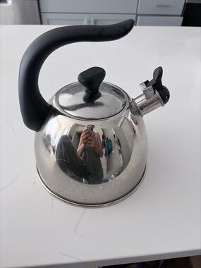 Stainless Steel Whistling Tea Kettle with Black Handle